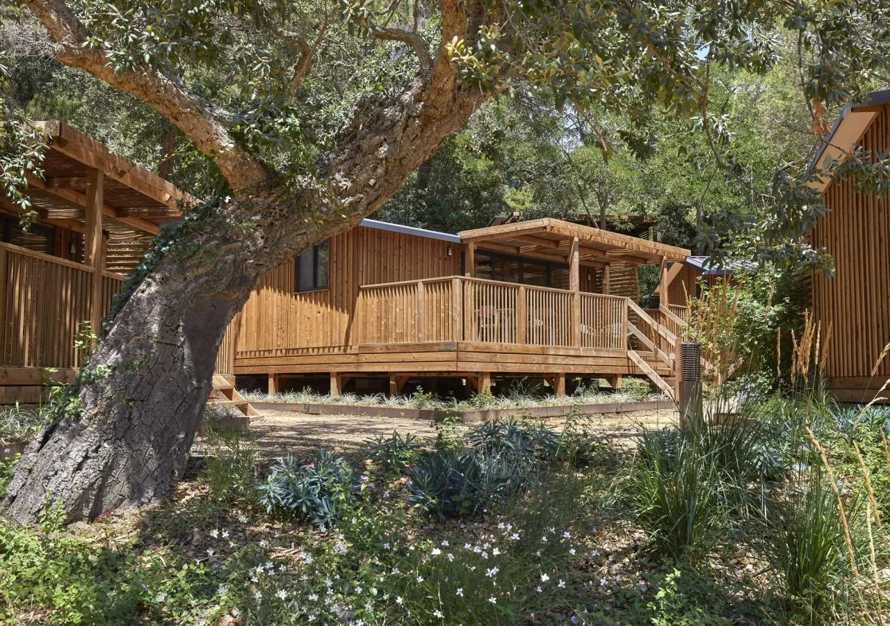 bungalow cala pola-5059